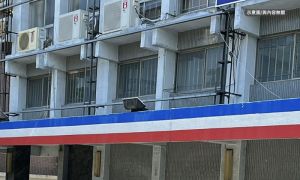 藍營黨主席改選投票！屏東高樹監票人員冒領代投遭抓包