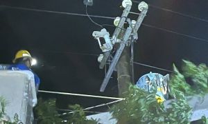 丹娜絲颱風屏東縣8,326戶停電 台電連夜搶修已全數復電