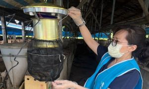 屏東縣新增2例日本腦炎病例！生活地區皆屬高風險環境