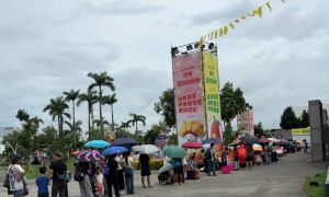 屏東夏日狂歡冰宮驚現黃牛票！將改1人領2張、假日增進場人數