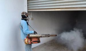 屏東萬丹出現本土登革熱病例！衛生局進行採檢與孳清作業