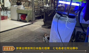 屏東出現首例日本腦炎個案　七旬長者住院治療中