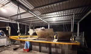 屏東市查獲違規廚餘養豬！業者遭罰80萬、禁止上市及取消補助