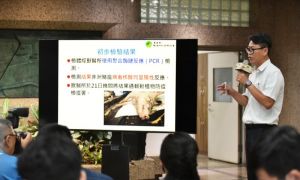 臺中養豬場傳出疑似非洲豬瘟案例！農業部啟動全國禁運禁宰5天