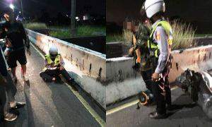 屏東女警勇追酒駕摔車犁田  網友「波麗士裡的巾幗英雌」
