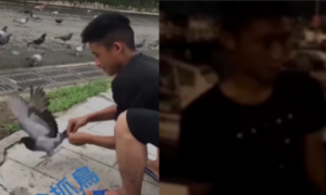虐狗男遭私刑丟水中？ 警方表示是自導自演！