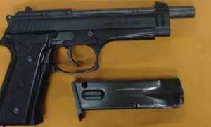 屏東市黑狗遭虐殺 警方：嫌犯持改造手槍射殺