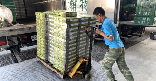 屏東蜜棗進行低溫檢疫 1月下旬外銷日本批發市場