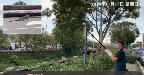 防屏東萬年溪畔變「侏羅紀公園」　屏縣府連兩日動員捕抓綠鬣蜥